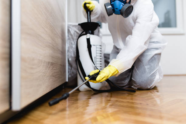 Best Pest Prevention Services  in Moody Af, GA