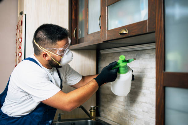 Best Best Pest Control Companies  in Moody Af, GA