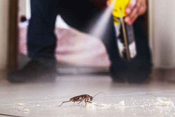 Best Pest Inspection Near Me  in Moody Af, GA