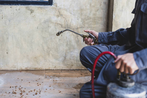 Best Pest Removal Services  in Moody Af, GA